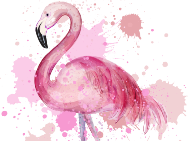 flamingo