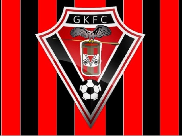 Gavião Kyikatejê