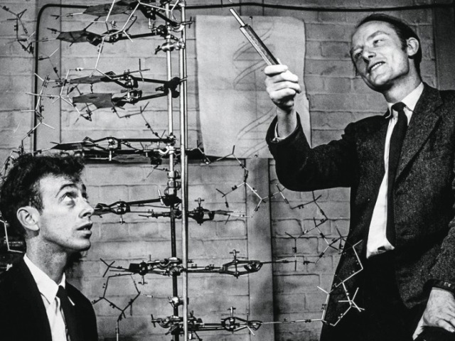 James Watson e Francis Crick