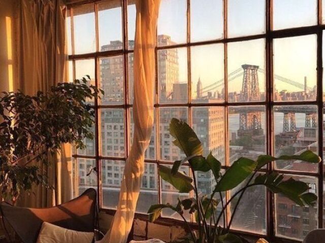 Aesthetic