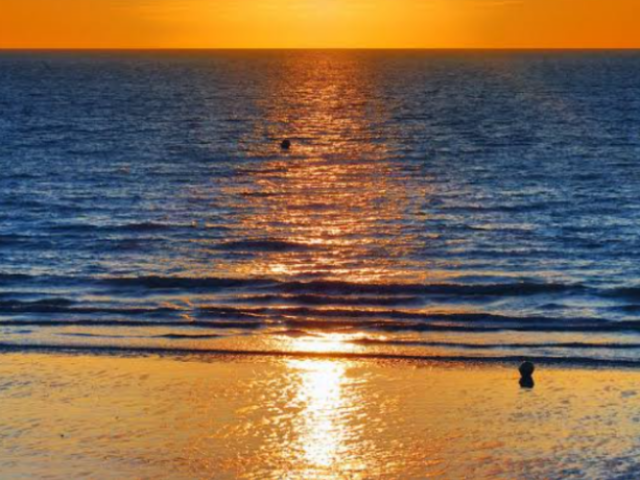 ESTE!DE FRENTE PARA O MAR,VENDO AS CRIATURAS MARINHAS!!!🌊