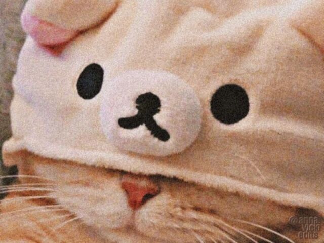 ๐๐ช ๐๐ค๐จ๐ฉ๐ค