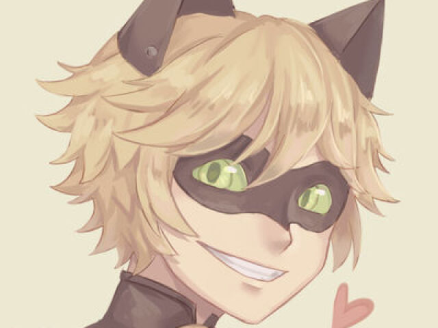 Chat noir