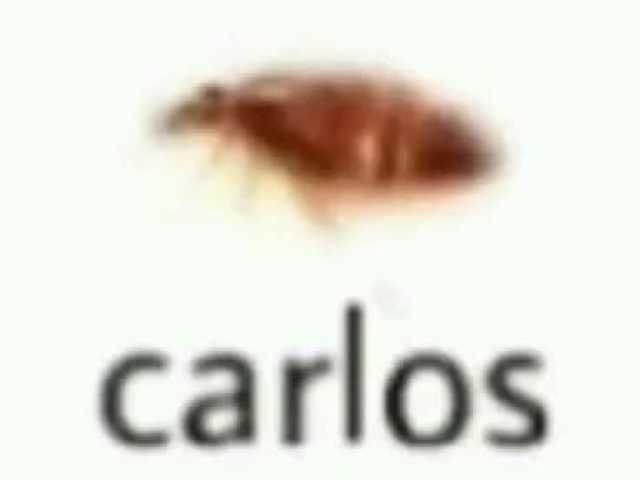 Carlos