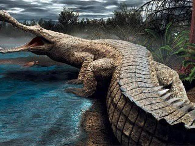 Sarcosuchus