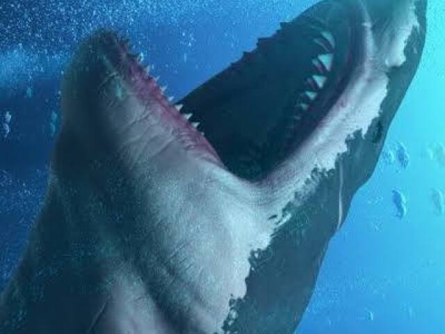 Megalodon