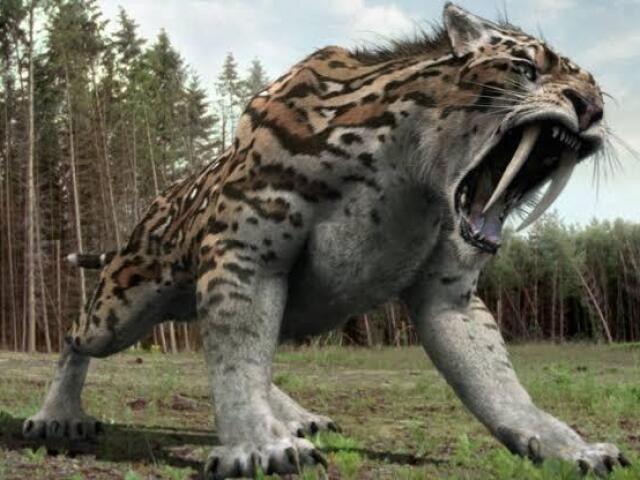 Smilodon