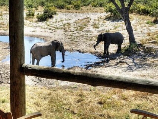 África do Sul💗😌