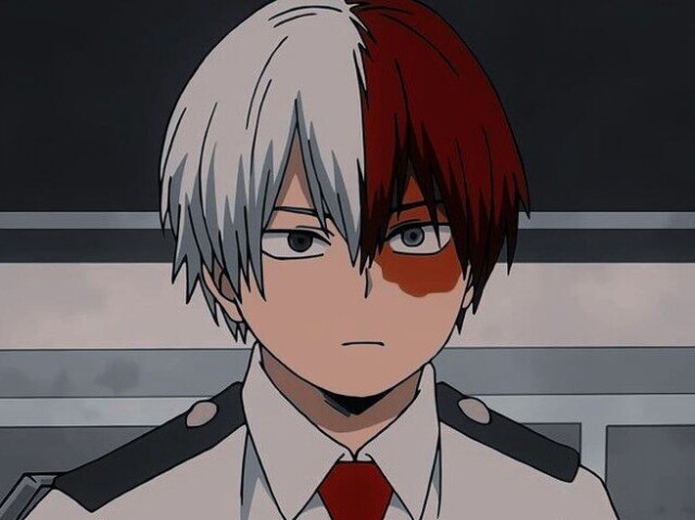 ➳ Todoroki ♡