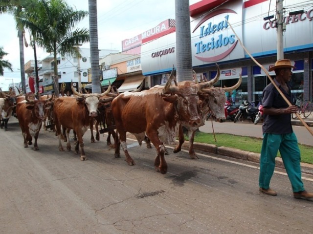 Festa da moagem e do carro de boi.