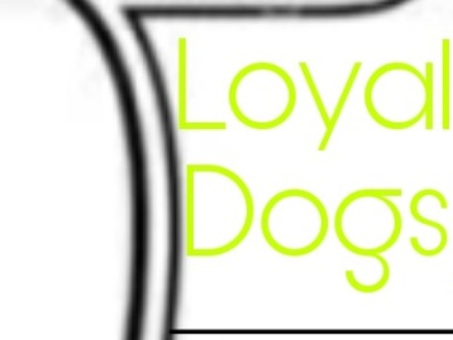 Loyal Dogs