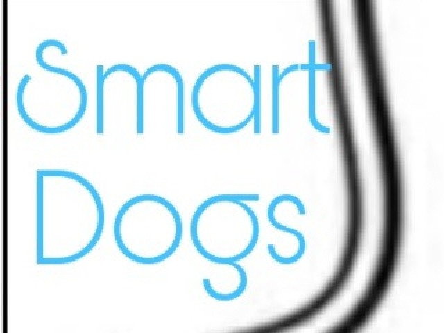 Smart Dogs