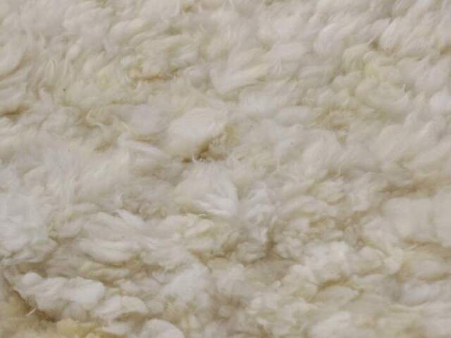 Fofa e peludinha