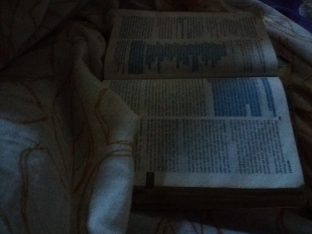 Ler a biblia