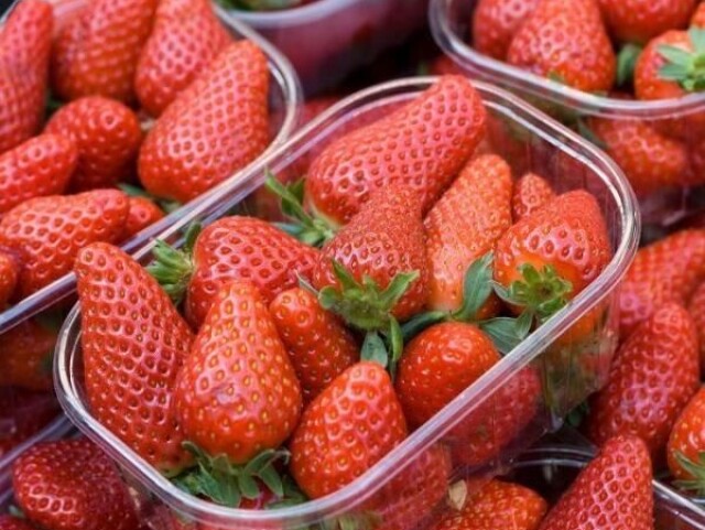 Morango🍓