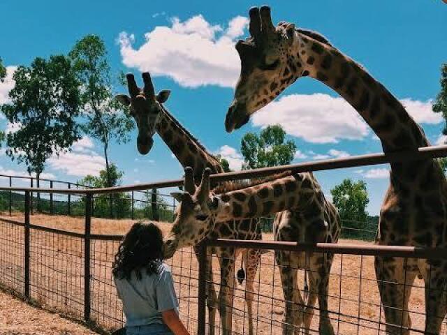 Zoológico 😜