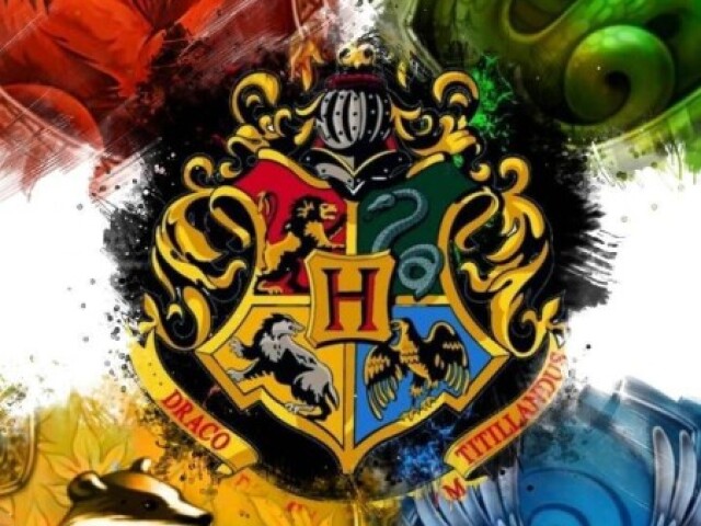 Você é especialista em Harry Potter?¿