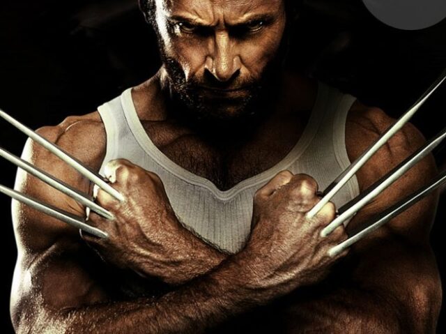 Wolverine- Logan