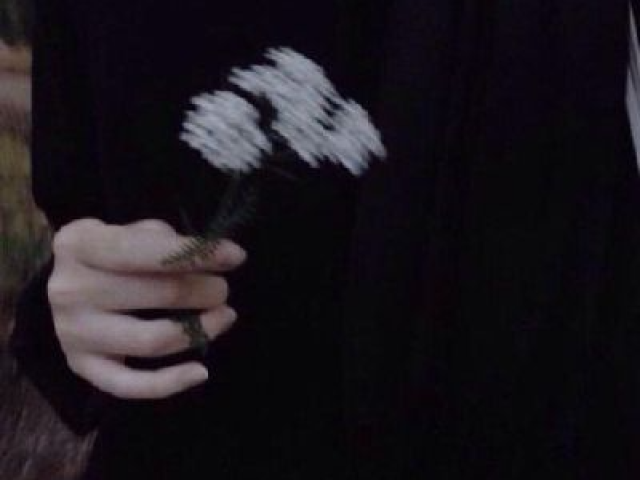 Dark