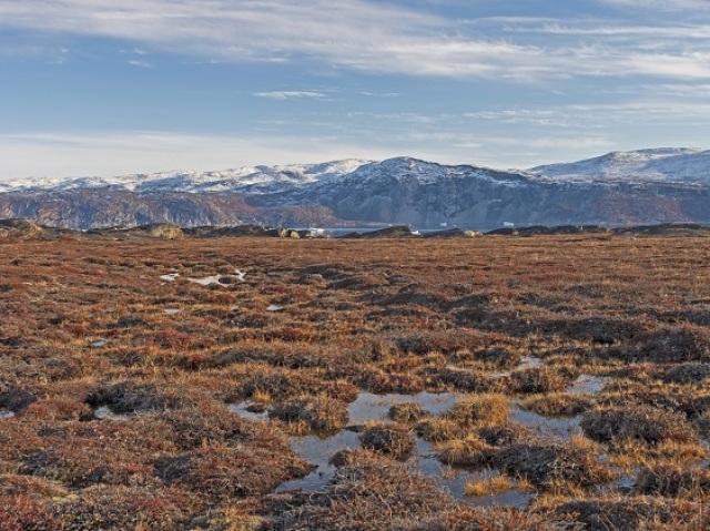 O nome tundra é de origem finlandesa "tunturia" que significa planície sem árvores.