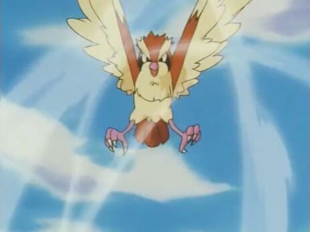 (PIDGEY)
Ventania