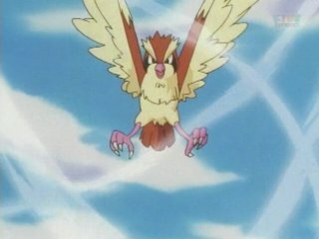 (PIDGEY)
Ventania