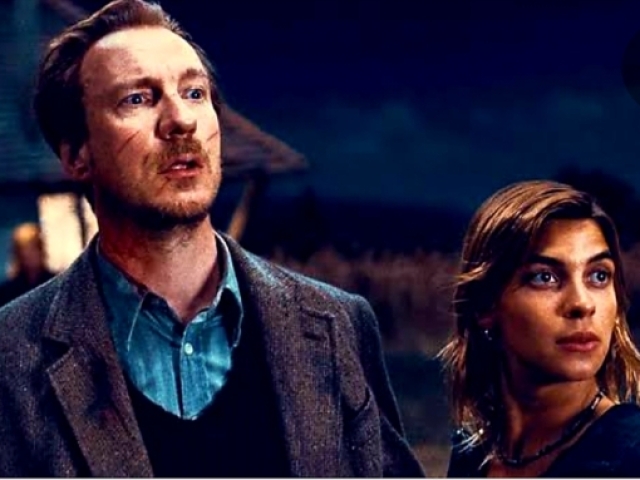 Tonks/Lupin/Sirius (coloquei foto deles dois pq não achei com os três)