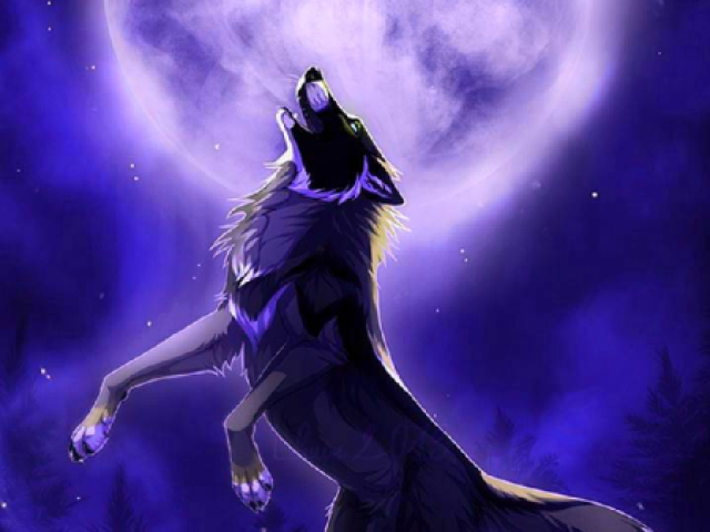 lobo místico🐺✨