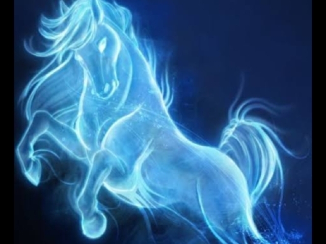 Cavalo (patrono da Gina)