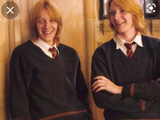 Fred e Jorge Weasley!