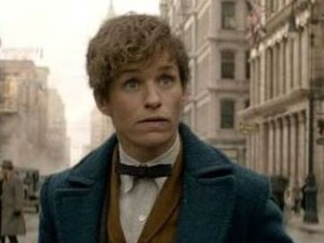 Rolf Scamander
(Coloquei foto do Newt porque não achei fotos do Rolf)