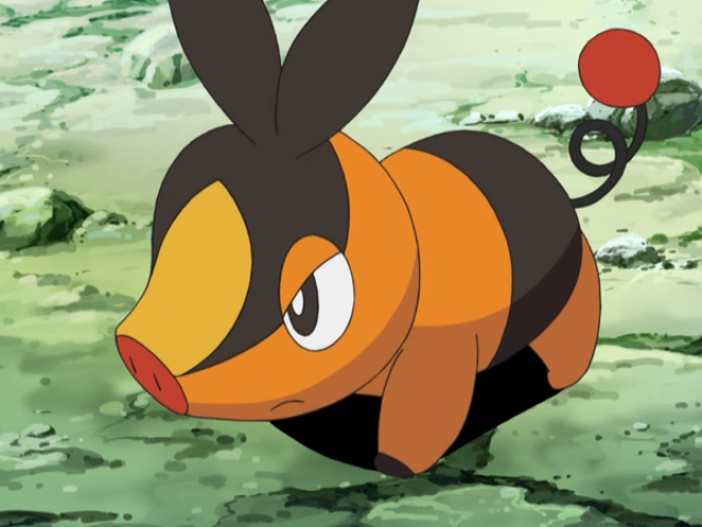 tepig