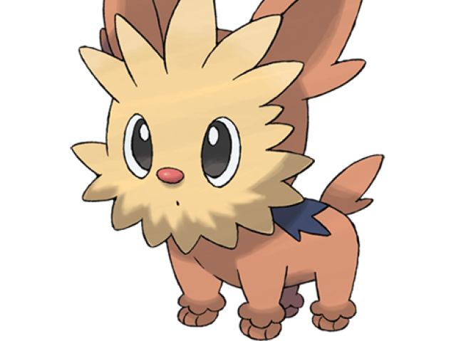 lillipup