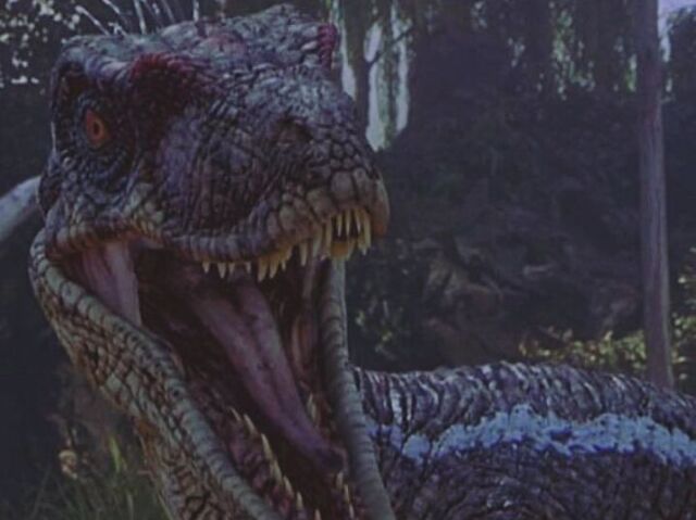 Velociraptor Macho (Jurassic Park 3)