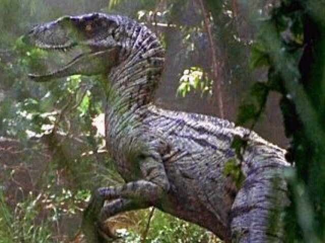 Velociraptor Fêmea (Jurassic Park 3)