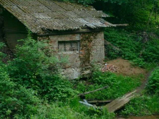 Uma cabana abandonada na floresta 🥀