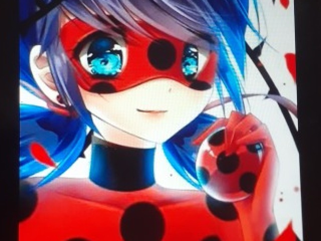 Ladybug