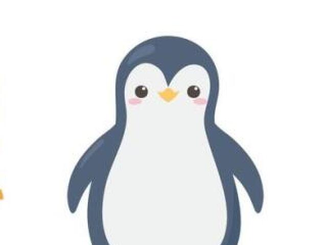 Pinguim