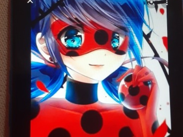 Ladybug