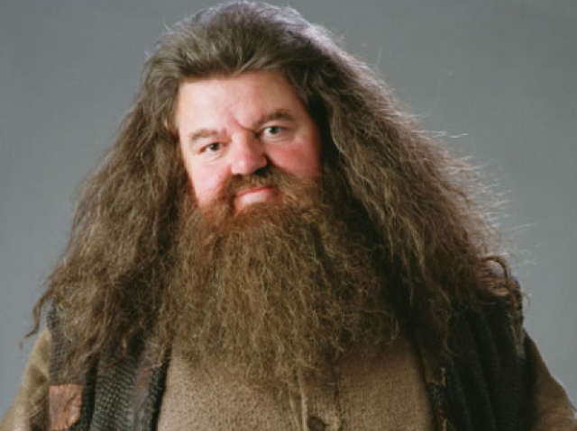 Hagrid