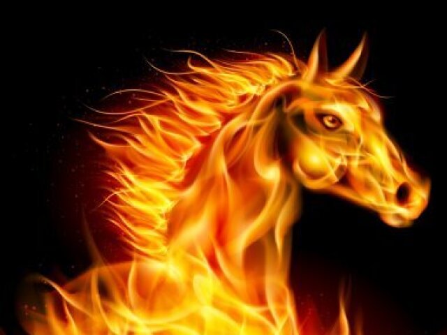 Cavalo