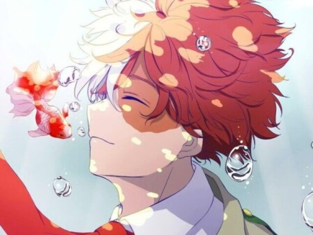 Todoroki