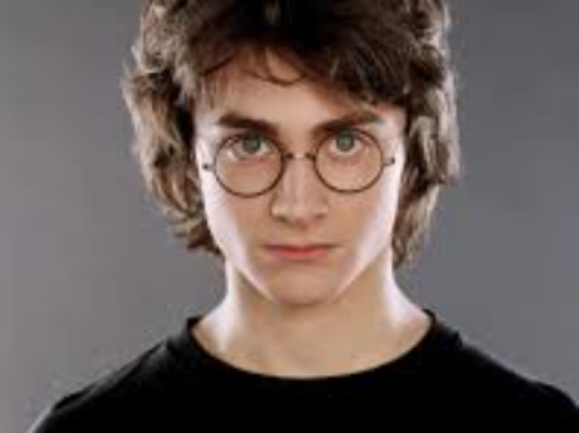 Harry Lenp Potter