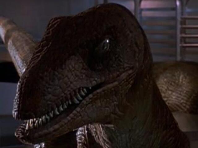 Velociraptor