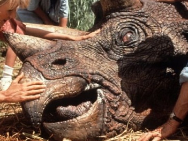 Triceratops
