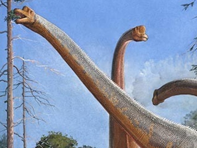 Giraffatitan brancai