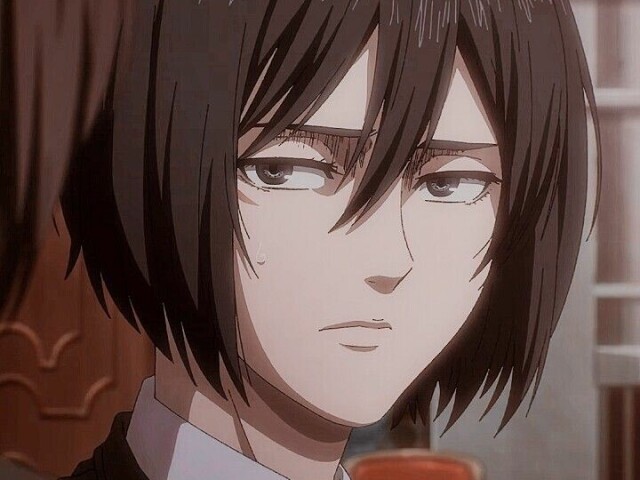 Mikasa