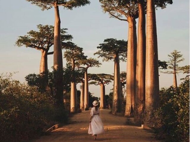รfrica
