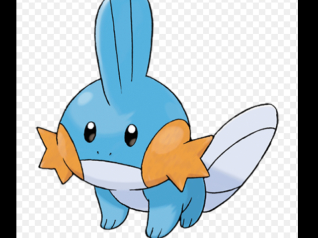 Mudkip