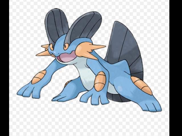 Swampert